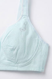 Light Turquoise