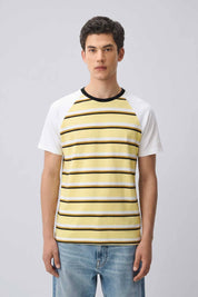 Canary & White Striped