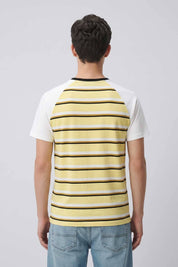 Canary & White Striped