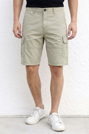 Light Taupe
