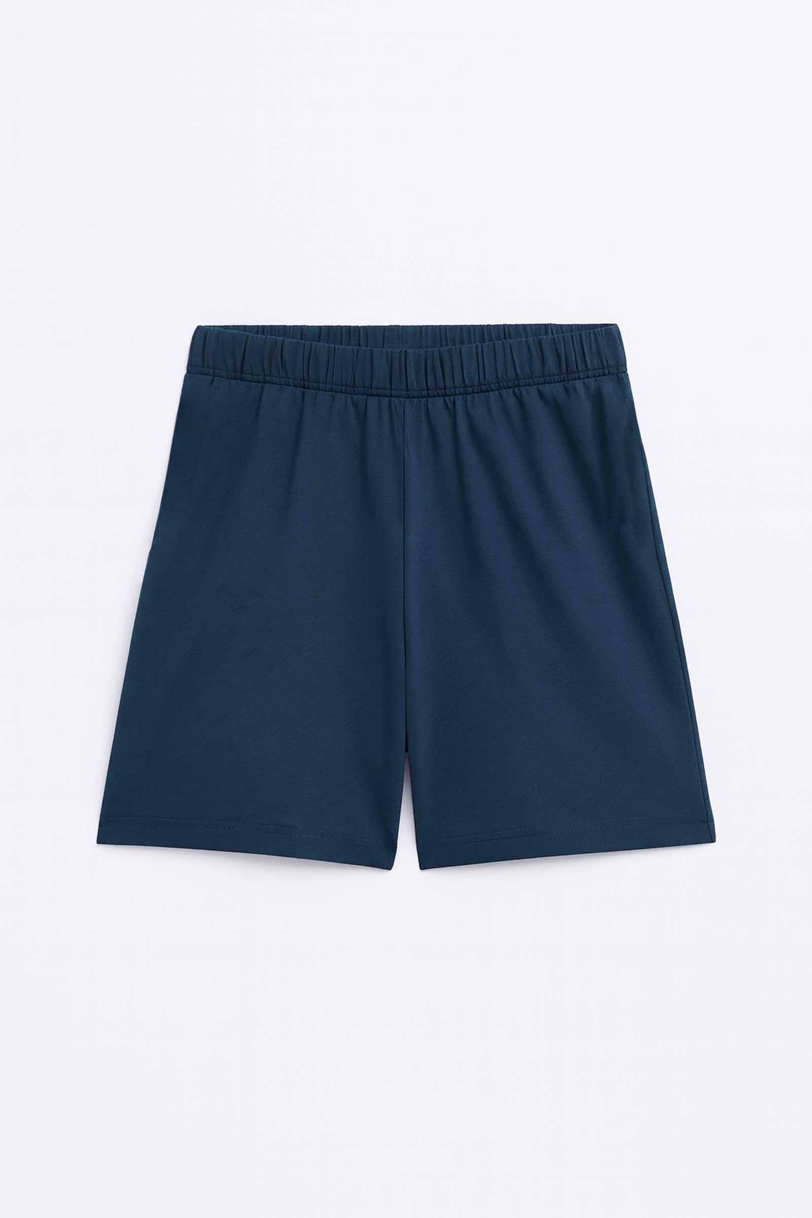 Aris Men's Basic Shorts