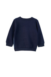 Navy & Sky