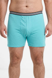 Light Turquoise