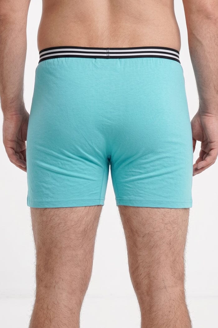 Light Turquoise