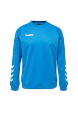 Hummel Boy's Activewear Raglan Sleeve Tee Shirt
