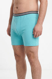 Light Turquoise
