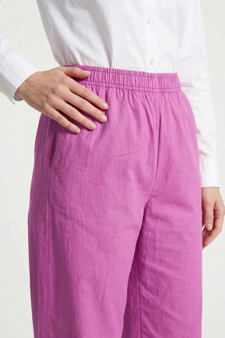 Magenta