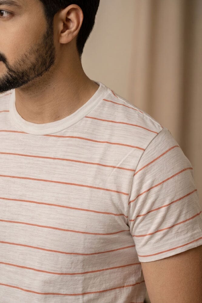 AE Men's Striped Tee Shirt