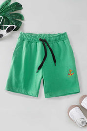 Aqua Green