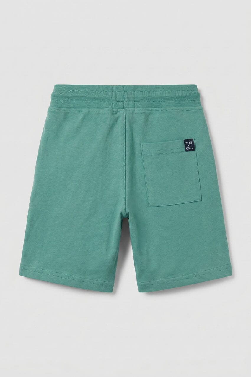 Aqua Green