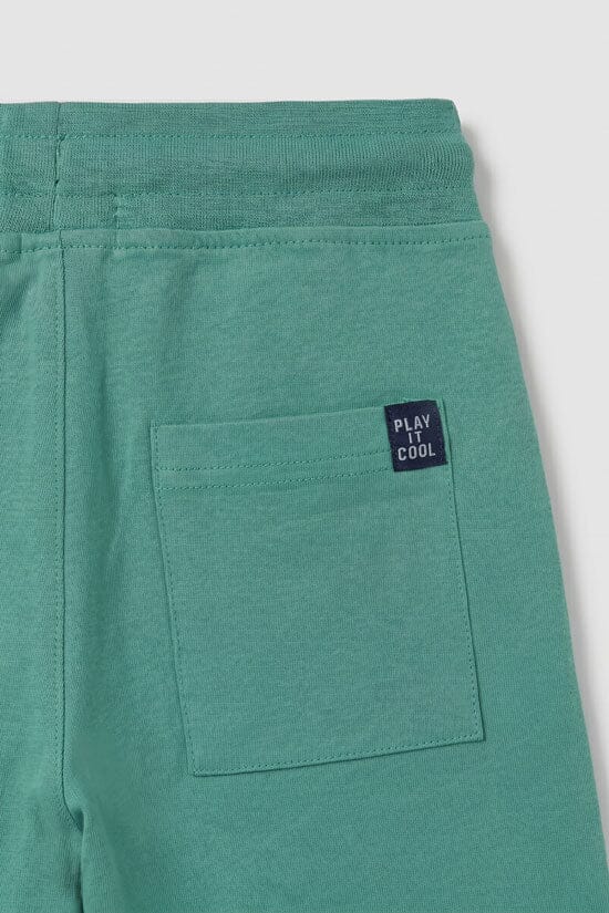 Aqua Green