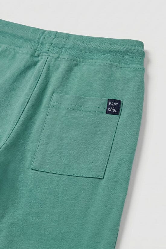 Aqua Green