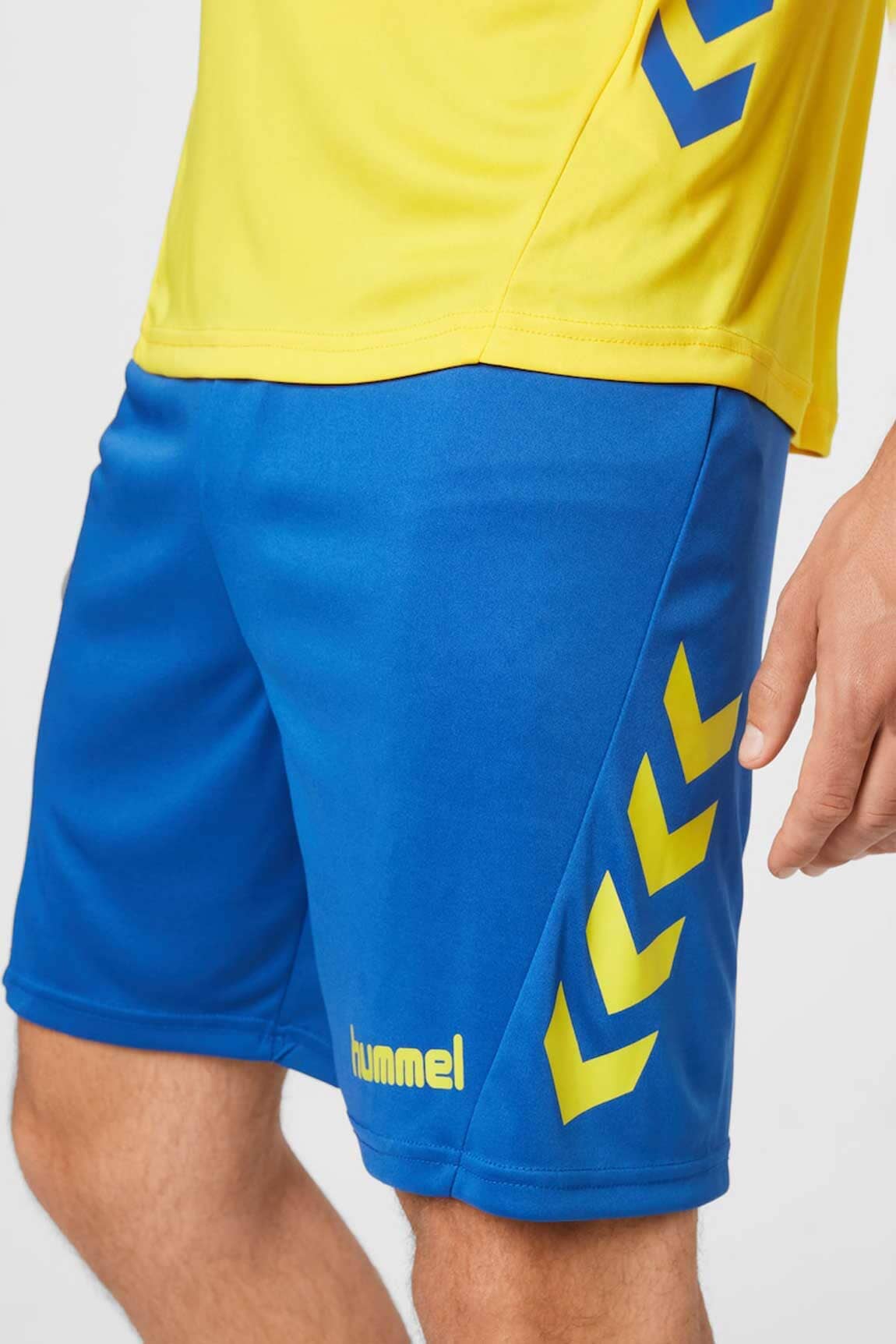 Royal & Yellow