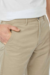 Light Taupe