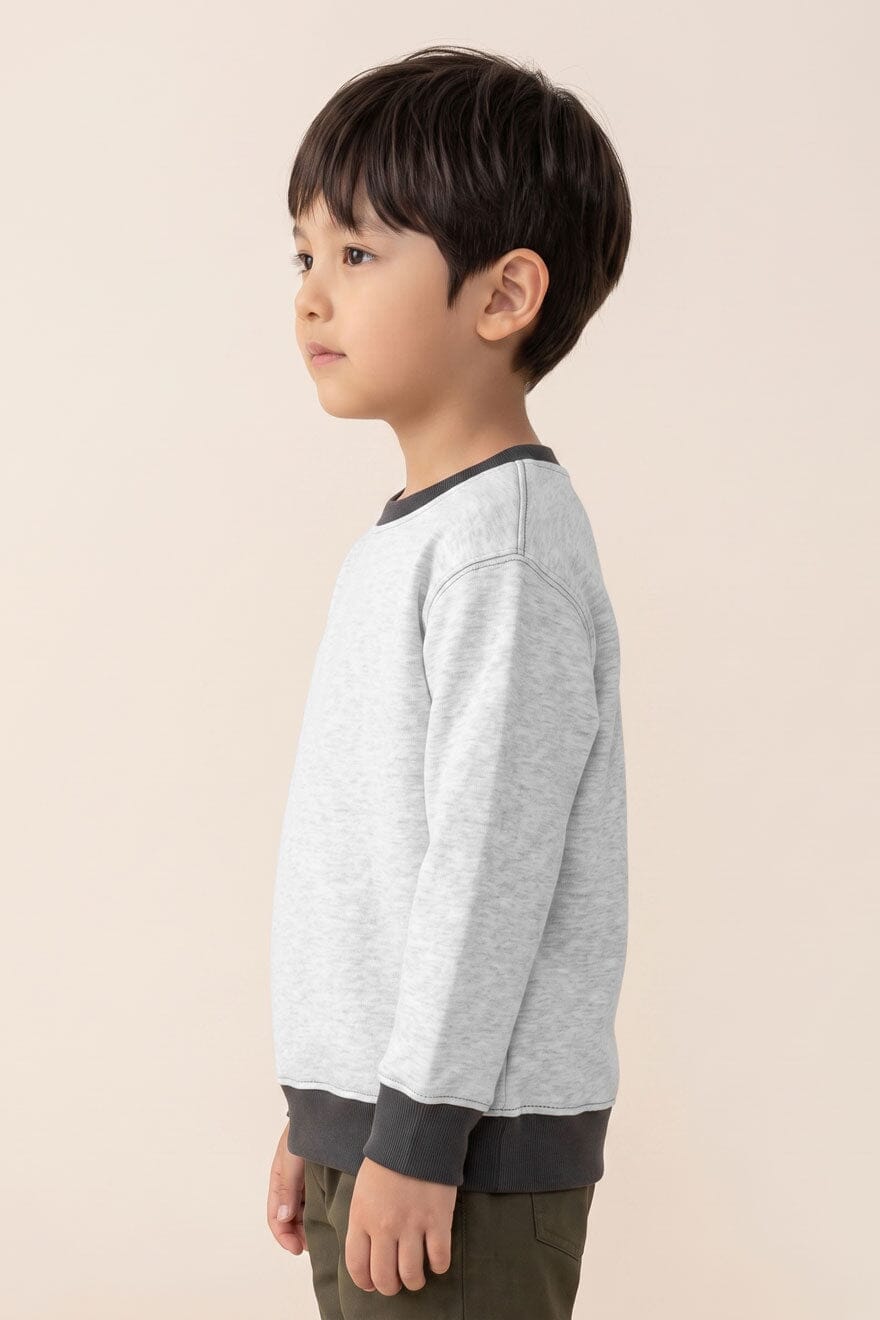 Ash & Slate Grey