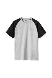 Grey & Black