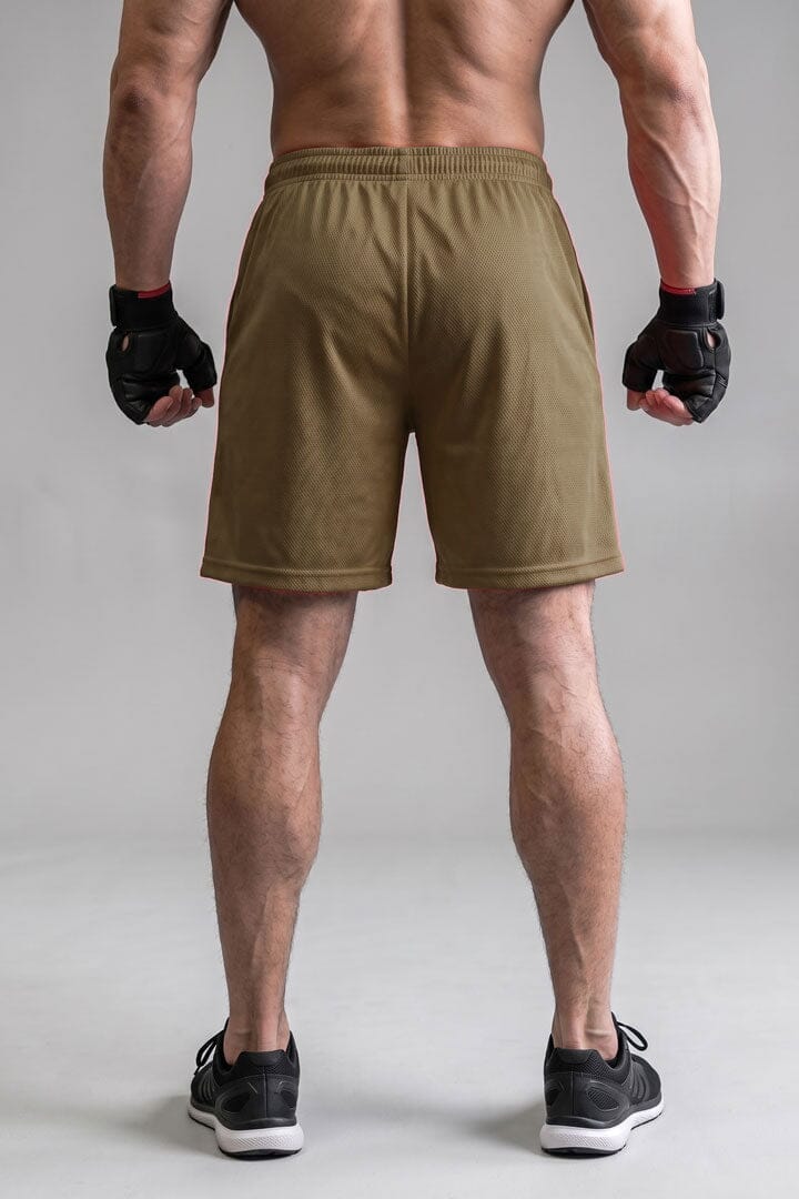 Brown Mesh