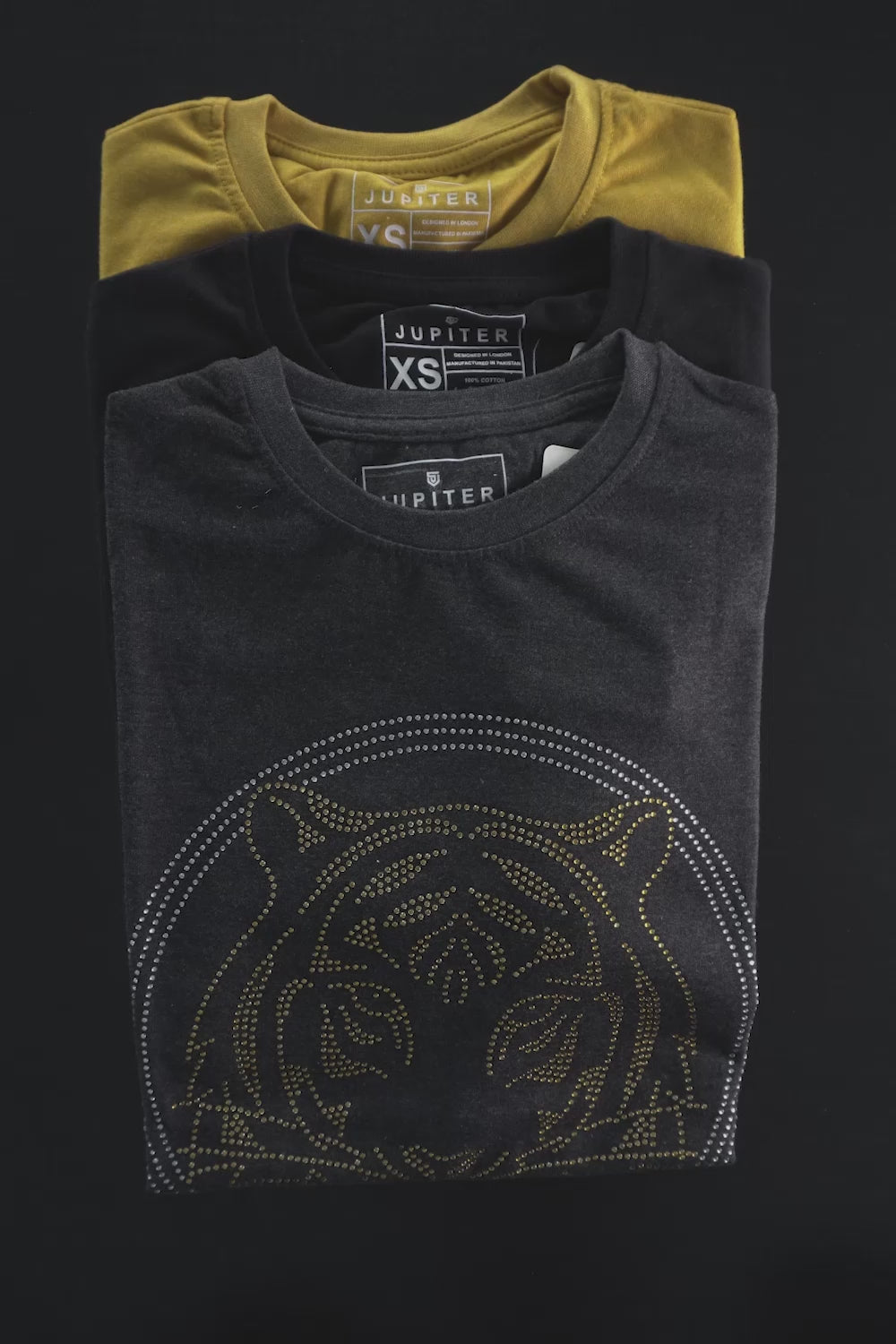 Jupiter Men's Lion Tee Shirt