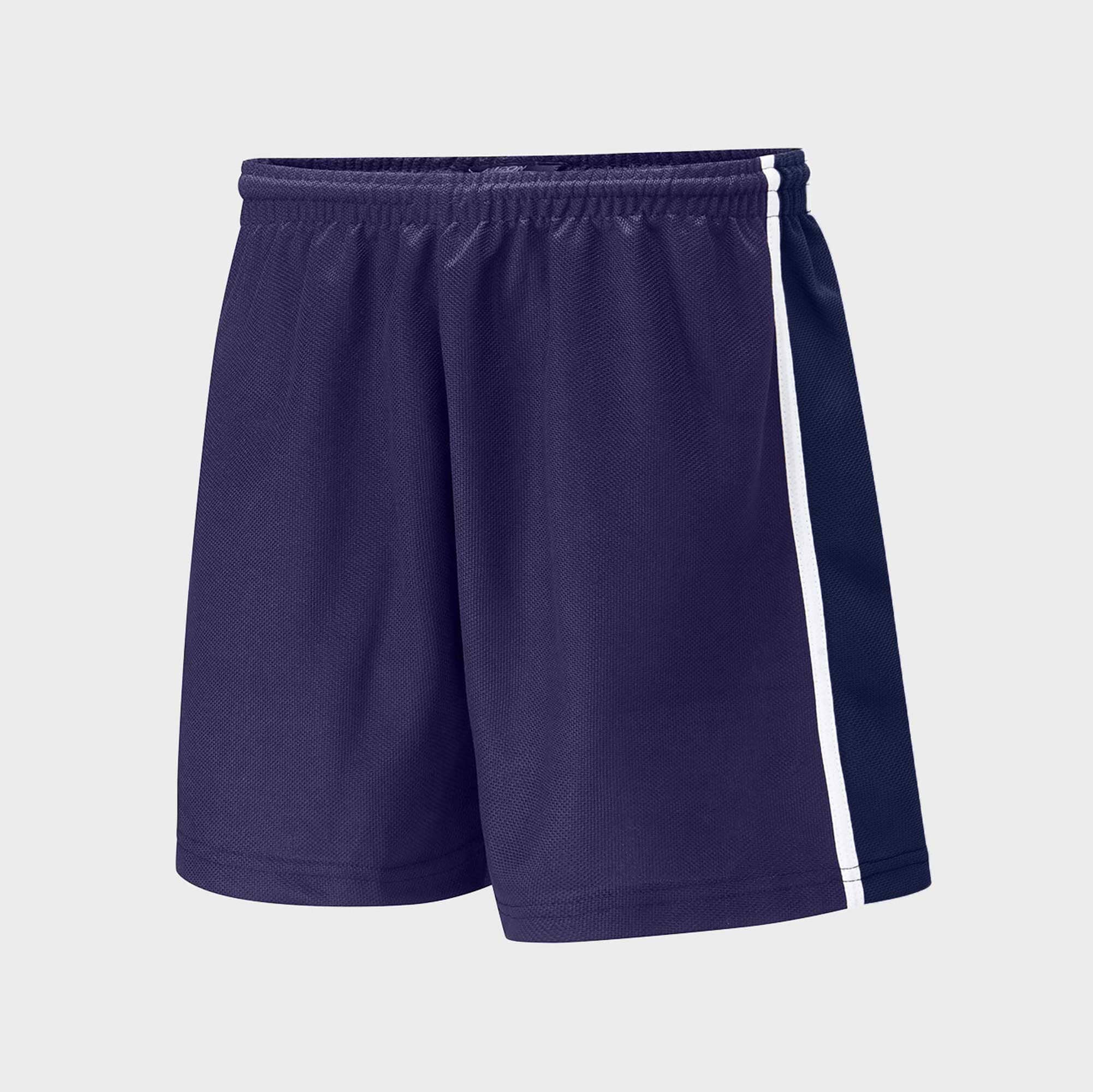 Falcon Men's Contrast panel Minor Fault Shorts Minor Fault HAS Apparel Purple & Navy 2XS 
