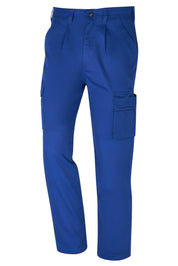 Men's Asuncion Minor Fault Cargo Pants Minor Fault Image Royal 28 28
