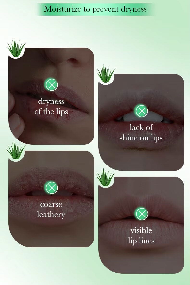 Fayankou Aloe Vera Moisturizing Lip Mask - 8g